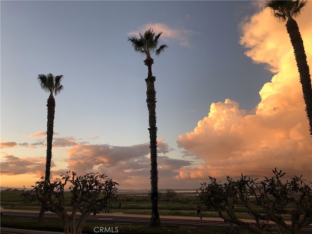 view of nature at dusk