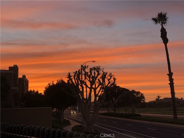 view of nature at dusk