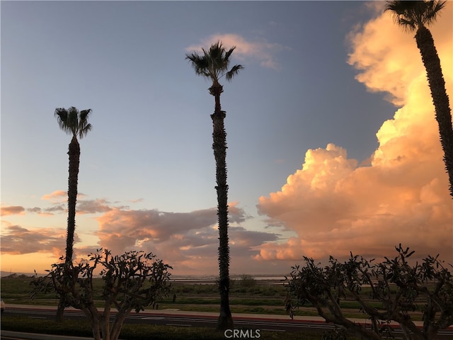 view of nature at dusk