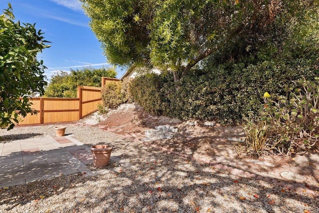 view of yard featuring a patio area