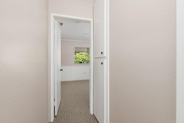 hallway with ornamental molding and carpet