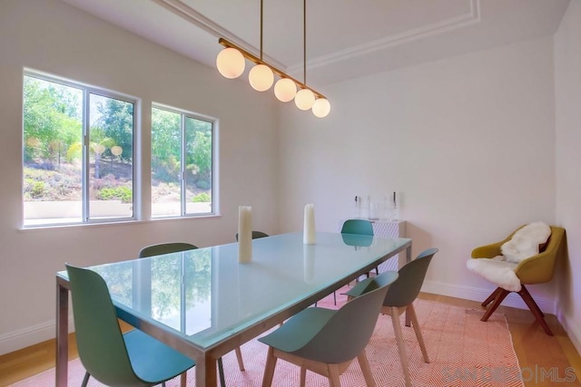 dining room with hardwood / wood-style floors