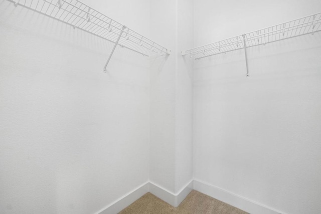 spacious closet with carpet floors