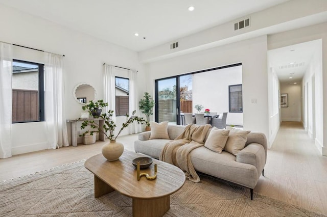 living room featuring light hardwood / wood-style floors