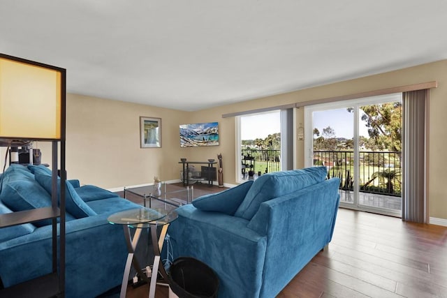 living room with hardwood / wood-style flooring