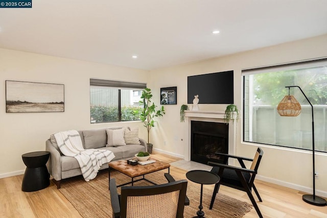 living room with light hardwood / wood-style floors