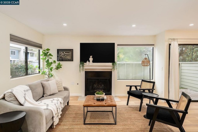 living room featuring a wealth of natural light and light wood-type flooring