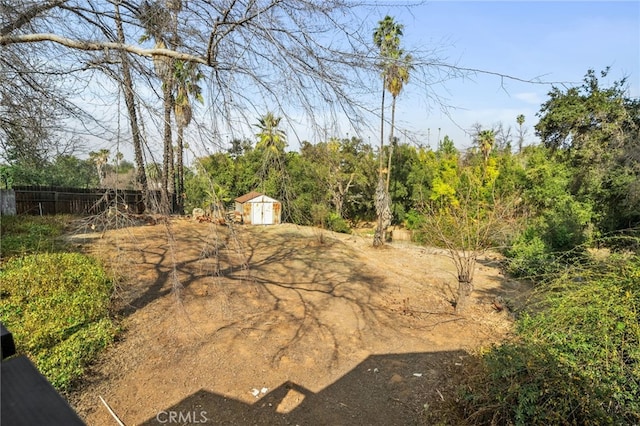 view of yard featuring a storage unit