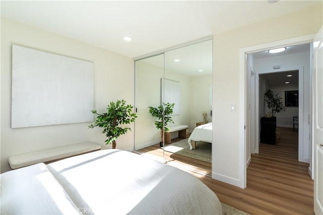 bedroom featuring wood-type flooring and a closet