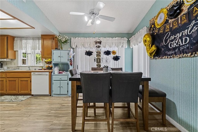 kitchen with ceiling fan, a textured ceiling, white dishwasher, and light hardwood / wood-style floors