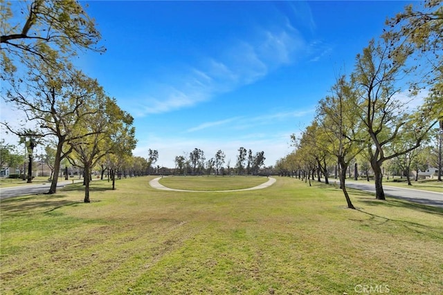 view of property's community featuring a yard