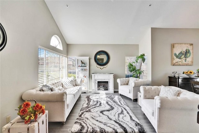 living room featuring high vaulted ceiling, dark hardwood / wood-style floors, and a high end fireplace