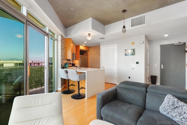 living room featuring light wood-type flooring