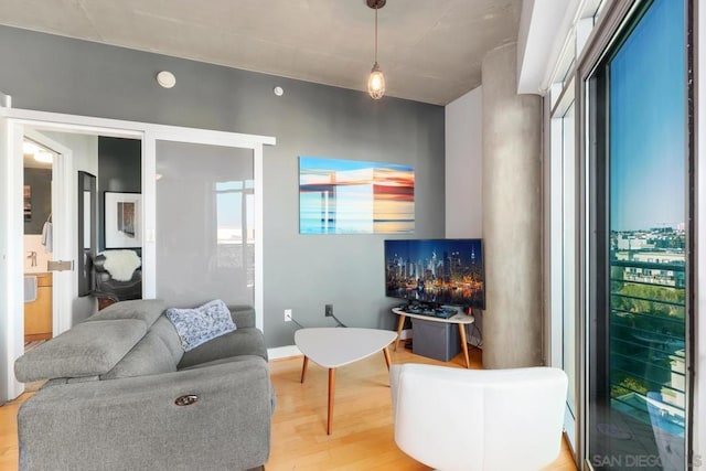 living room with plenty of natural light and hardwood / wood-style floors