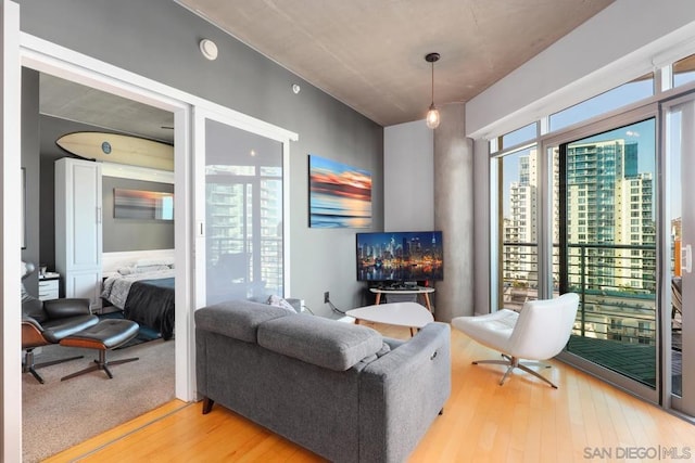 living room with wood-type flooring