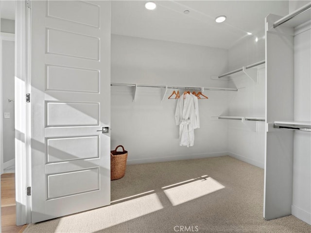 walk in closet featuring light carpet