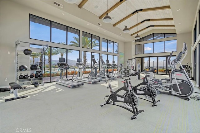 exercise room with carpet floors, plenty of natural light, and high vaulted ceiling