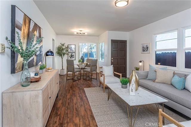 living room featuring dark hardwood / wood-style floors