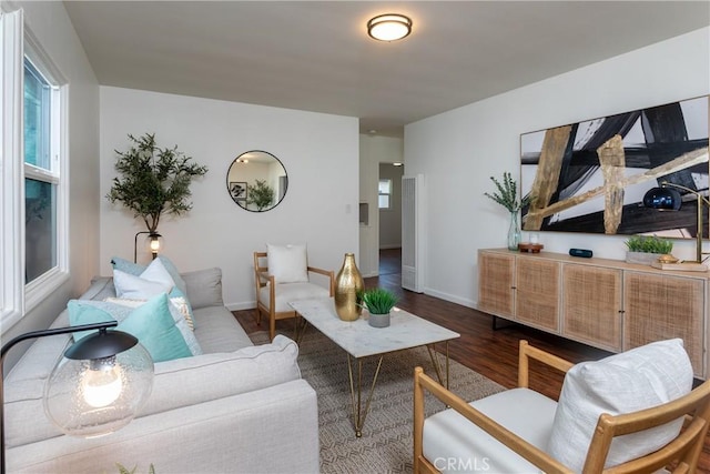 living room featuring hardwood / wood-style flooring