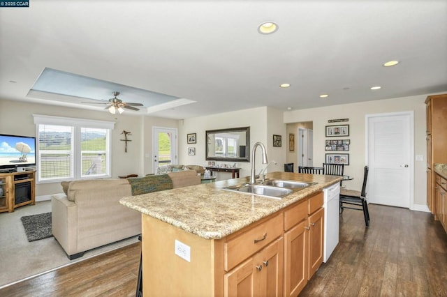 kitchen featuring a tray ceiling, sink, dishwasher, and an island with sink