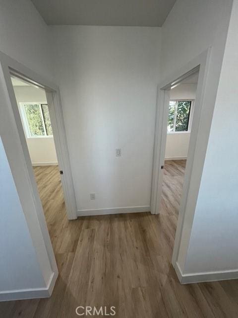 corridor featuring wood-type flooring and plenty of natural light