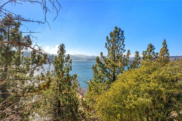 1430 Sequoia Dr, Lake Arrowhead, CA 92352 - water view featuring a mountainous background