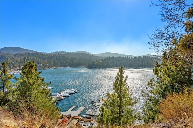 1430 Sequoia Dr, Lake Arrowhead, CA 92352 - water view featuring a forest and a boat dock