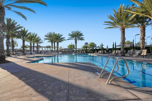 view of pool featuring a patio