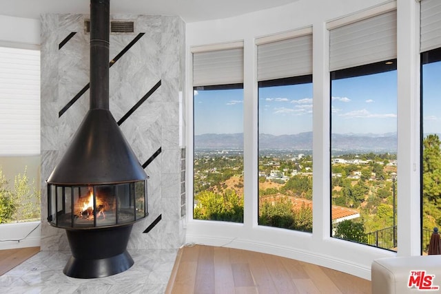 room details with wood-type flooring, a mountain view, and a wood stove