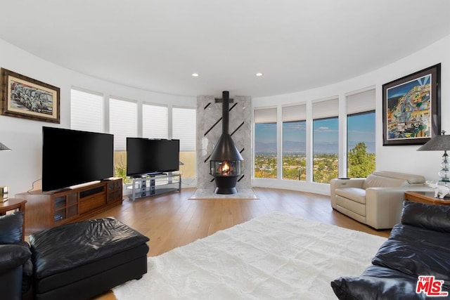 living room with a wood stove and hardwood / wood-style floors