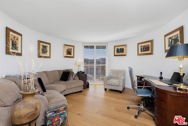 home office featuring light hardwood / wood-style flooring