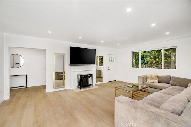 living room with light wood-type flooring