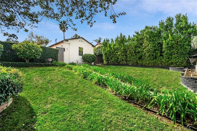 view of yard