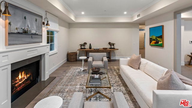 living room with crown molding, dark wood-type flooring, and a raised ceiling