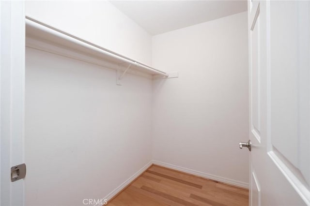 spacious closet with hardwood / wood-style flooring