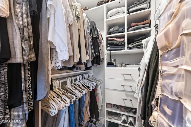 view of spacious closet