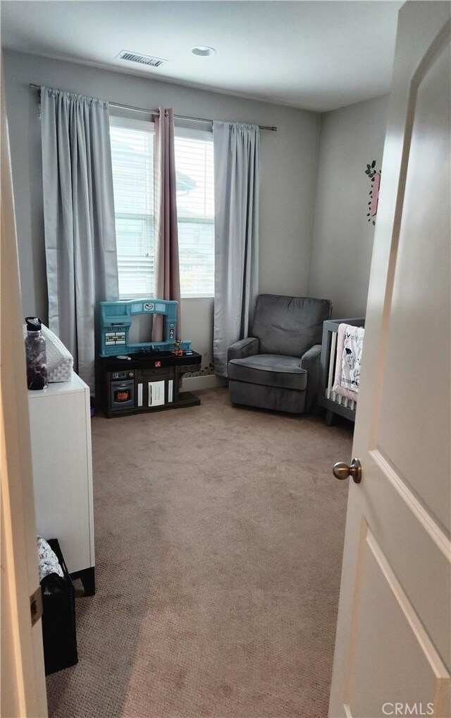 living area featuring carpet flooring