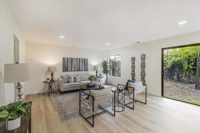 living room featuring light hardwood / wood-style flooring