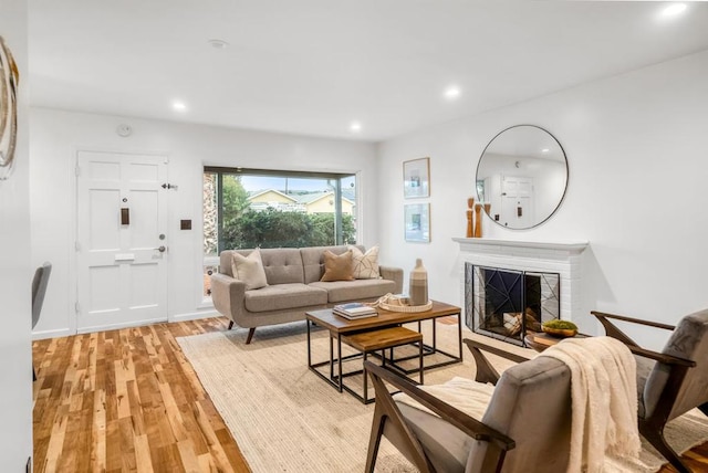 living room with a fireplace and light hardwood / wood-style flooring