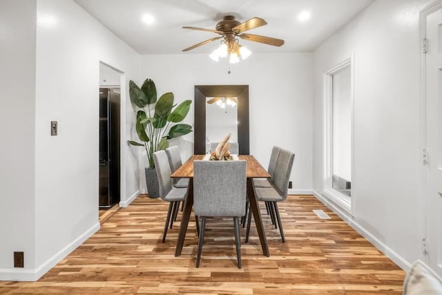 dining space featuring ceiling fan and light hardwood / wood-style flooring