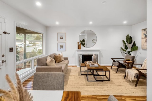 living room featuring hardwood / wood-style flooring