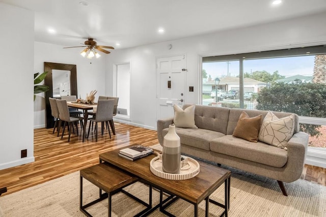 living room with ceiling fan and light wood-type flooring