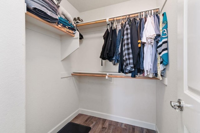 spacious closet with dark wood-type flooring