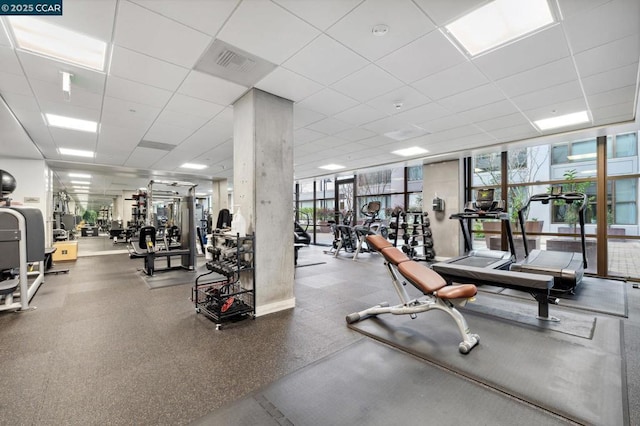 exercise room with a drop ceiling and a wall of windows