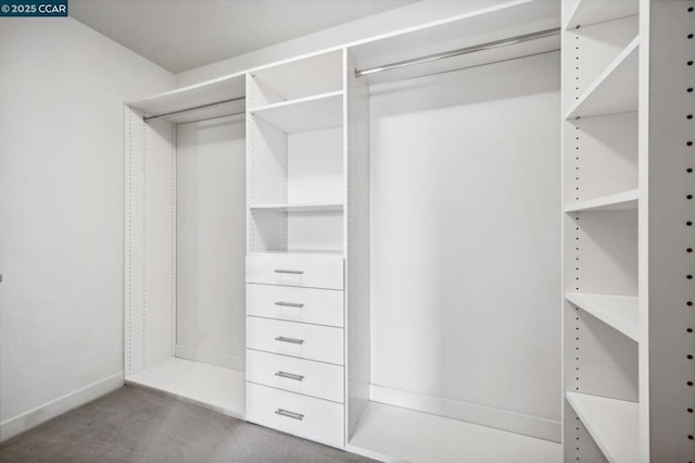 view of spacious closet