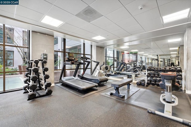 gym with expansive windows and a drop ceiling