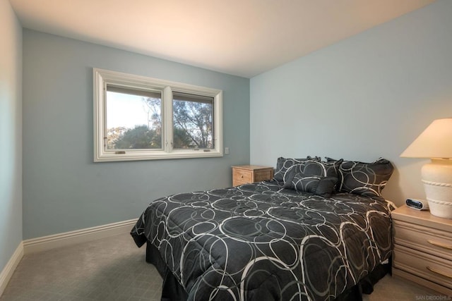 bedroom with carpet