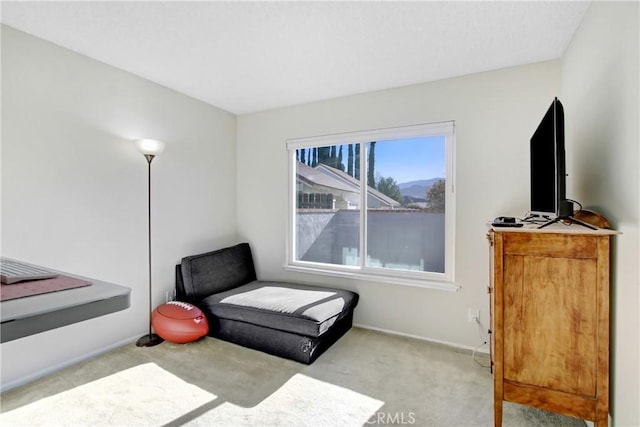 bedroom featuring light carpet