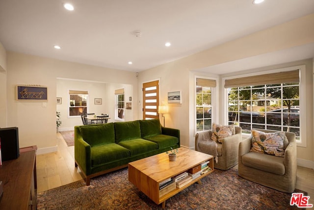 living room featuring hardwood / wood-style floors