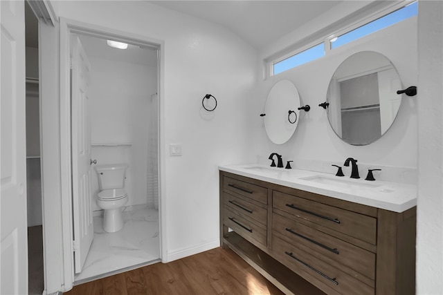 bathroom with vanity, wood-type flooring, and toilet